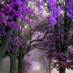 Meet your Posher, Mabel